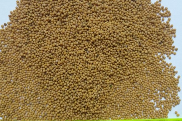 Кракен тг ссылка