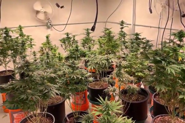 Как вывести деньги с кракена маркетплейс