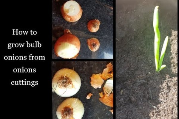 Onion сайт кракен