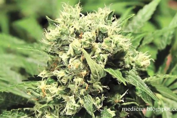 Кракен сайт наркота