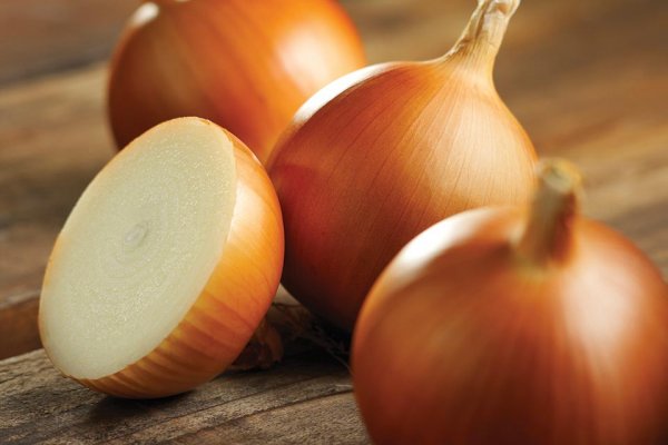 Кракен зеркало сегодня