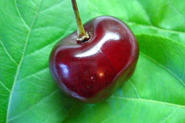 Кракен онион тор