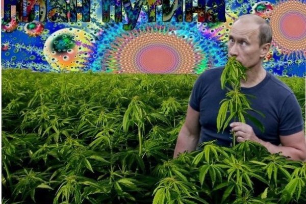 Кракен закладки