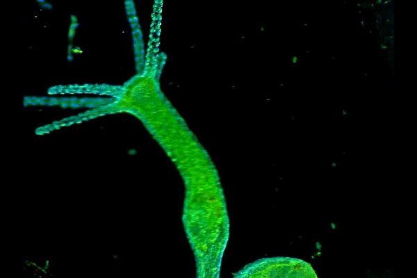 Kra34.cc Вход на сайт главная страница