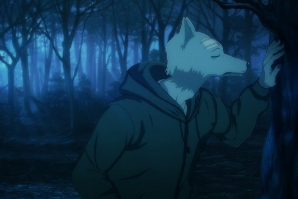 Kraken даркнет что это