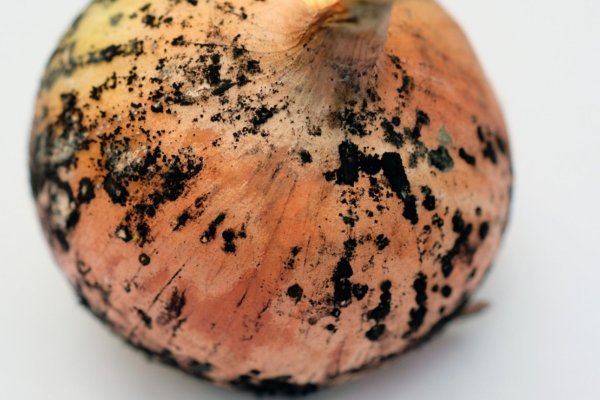 Kraken clear ссылка