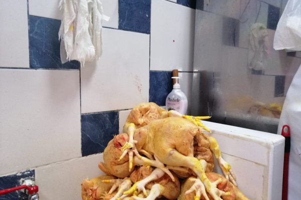 Кракен маркетплейс откуда взялся