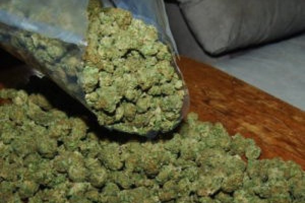 Что такое кракен шоп