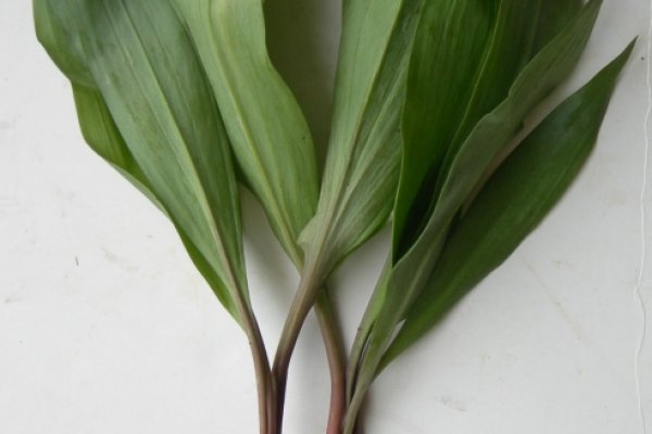 Кракен ссылка 2web