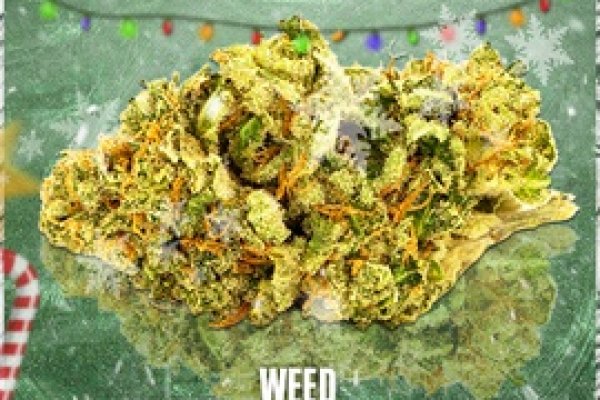 Darknet как войти