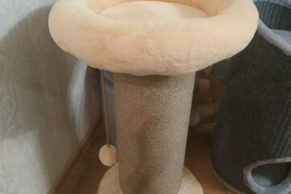 Кракен даркнет только через стор