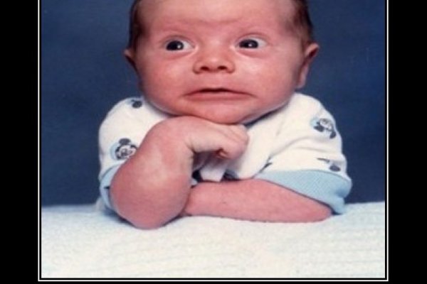 Гидра альтернатива