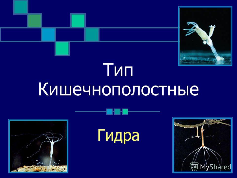 Кракен маркетплейс 2025